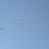 1st Operation Toy Drop 047